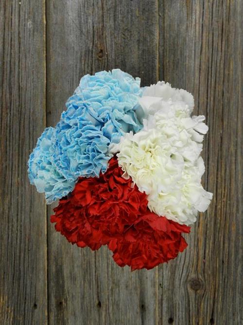 PATRIOTIC  CARNATION ASSORTED COMBO BOX